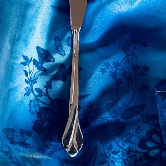 Oneida Tribeca Glossy Master Butter Knife/Butter Server - Picture 3 of 8